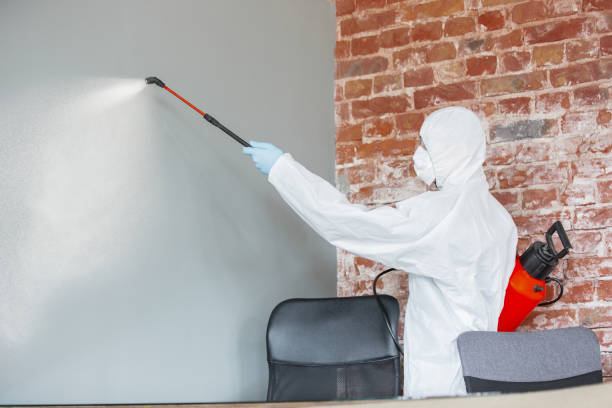 Mold Documentation for Insurance Claims in Richland, MO