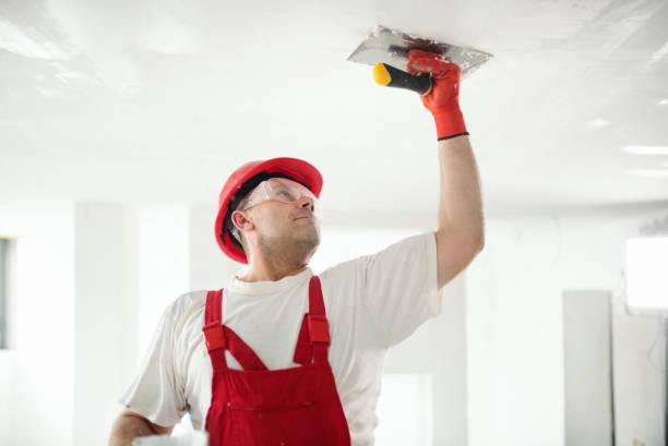 Best Airborne Mold Testing  in Richland, MO